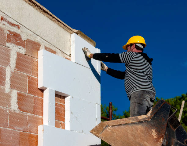 Best Spray Foam Insulation  in Walton, KY